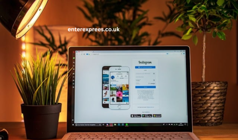 Mollygram: Watch Instagram Stories Anonymously & Effortlessly Mollygram